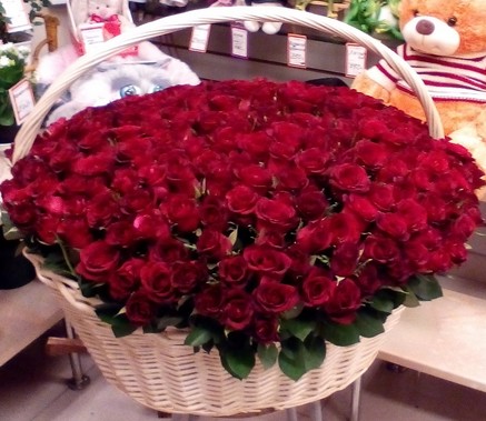 red-big-rose-korsina.jpg