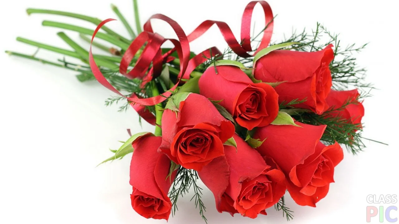 red-rose.webp