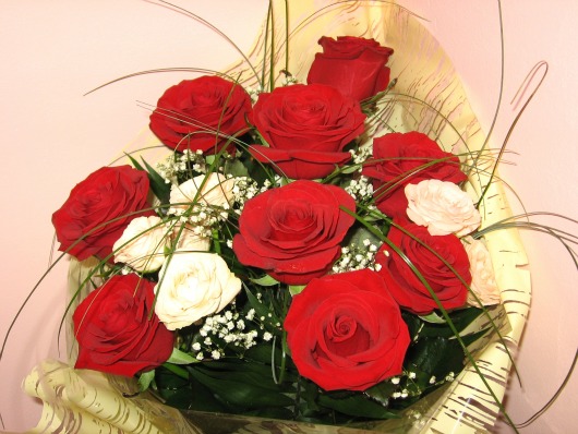 red-roses-530.jpg