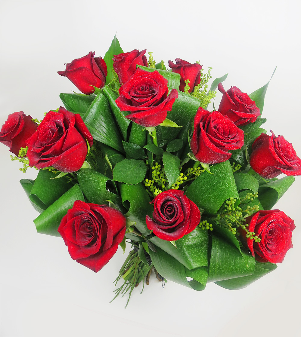 red-roses-folded-aspidastra-leaves2.jpg