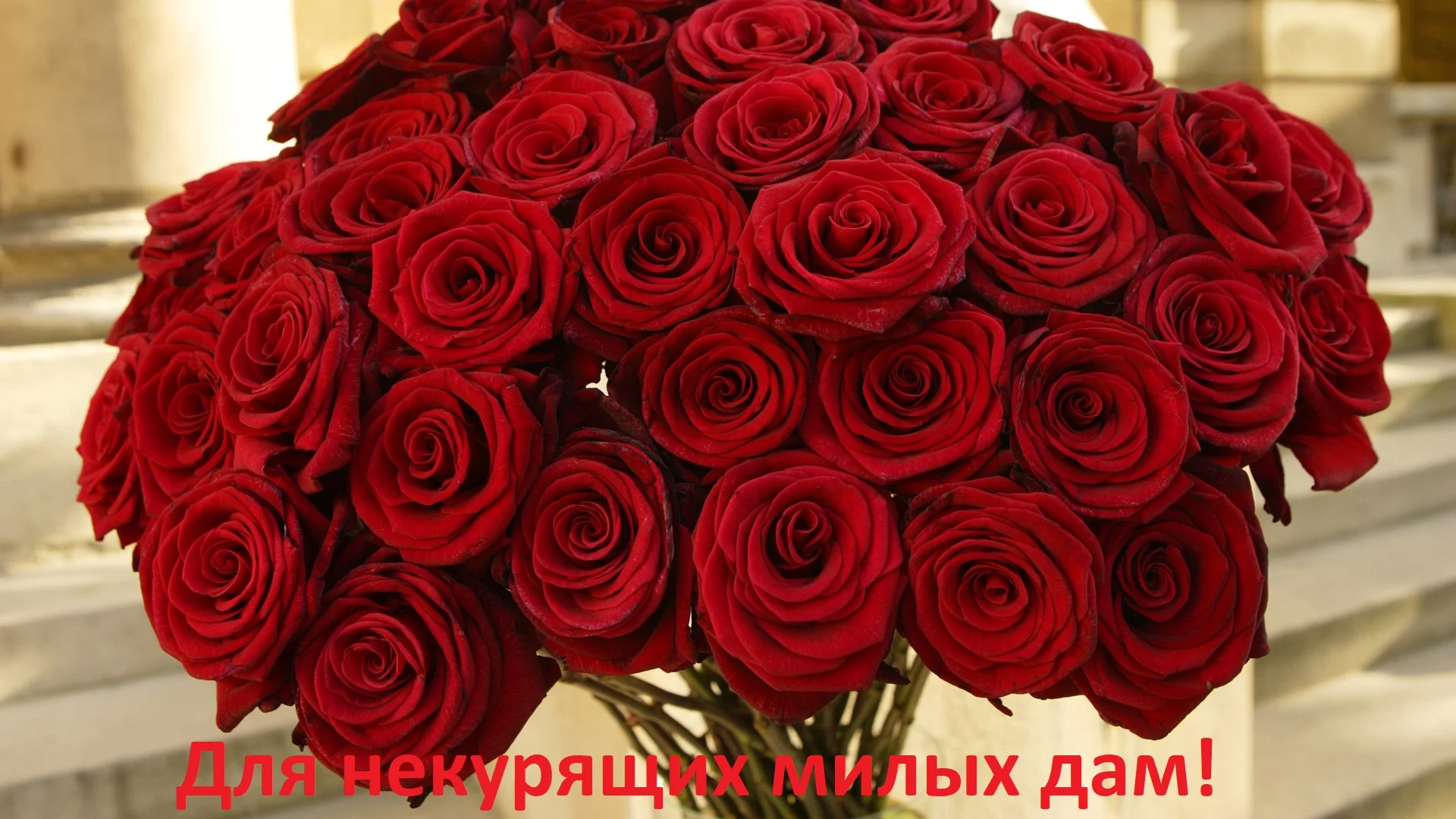 red-roses.webp
