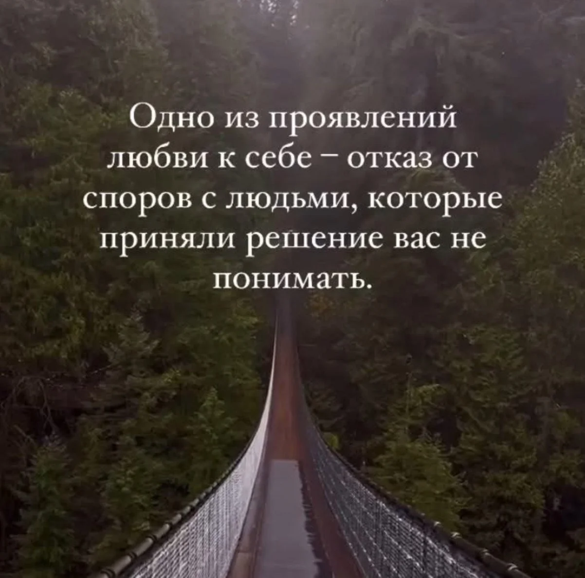 решение не понимать.webp