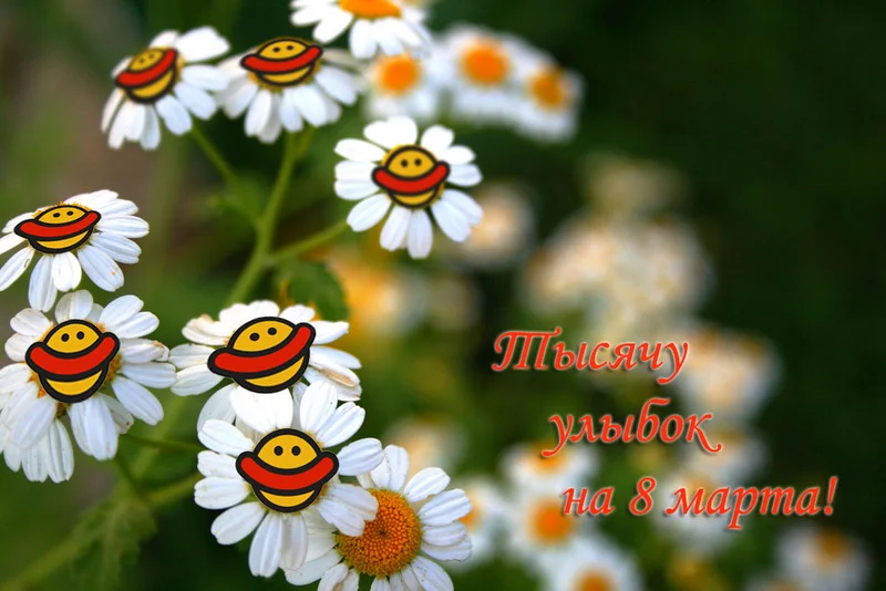 resized_orig_ac88e2f80680ba6441d02ab7a4ec48ed.webp