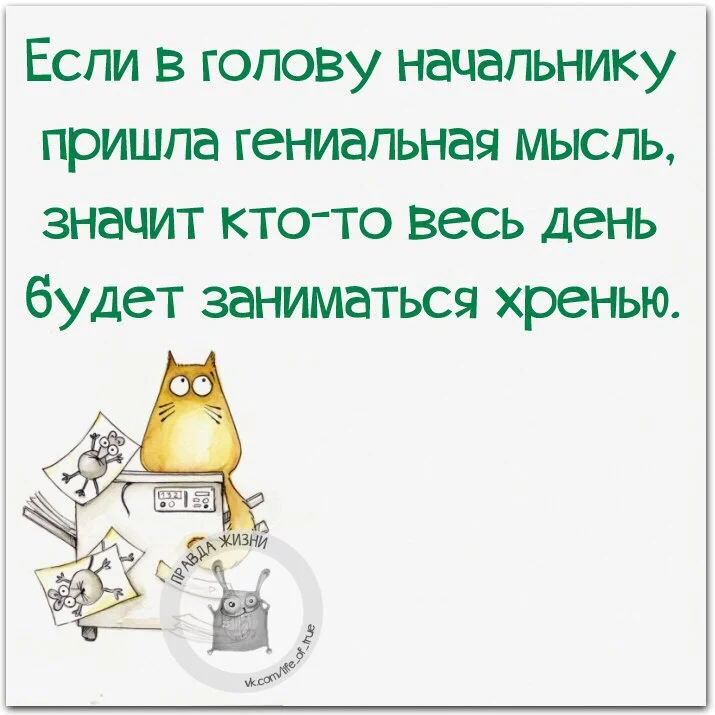 rFt9DGReSU8.webp