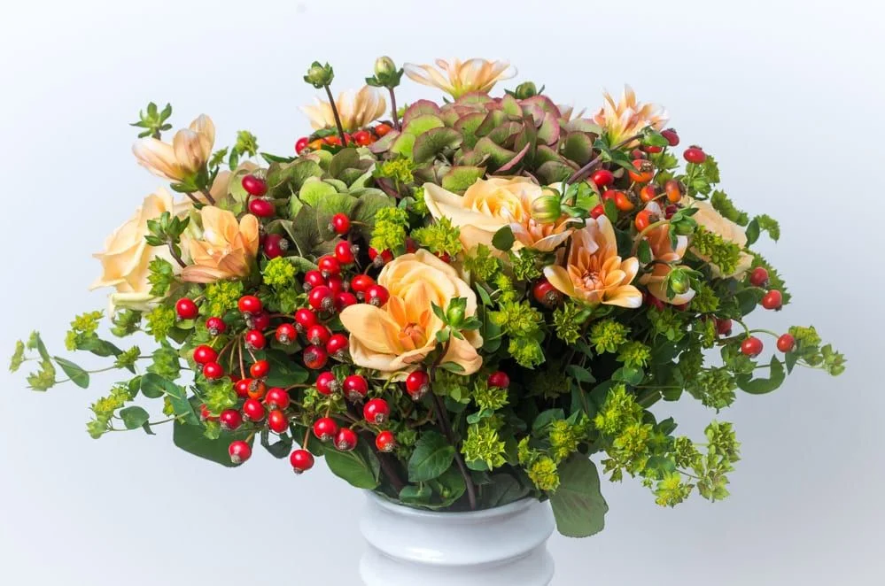 rg-3960.webp