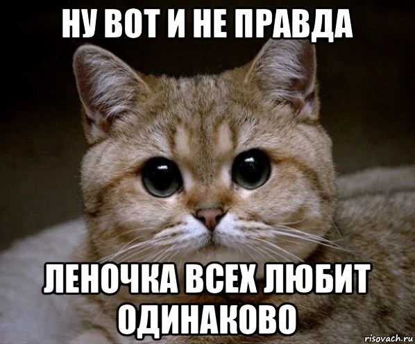 risovach.ru (1).webp