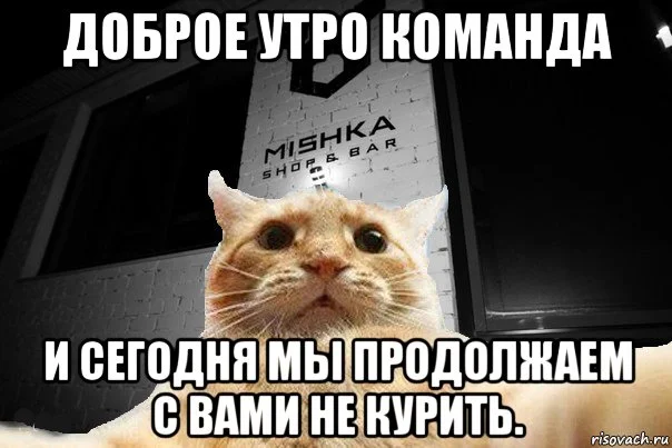 risovach.ru (1).webp