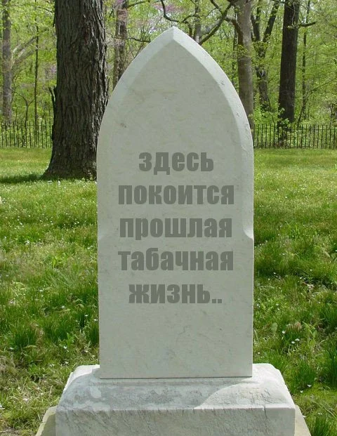 risovach.ru (1).webp