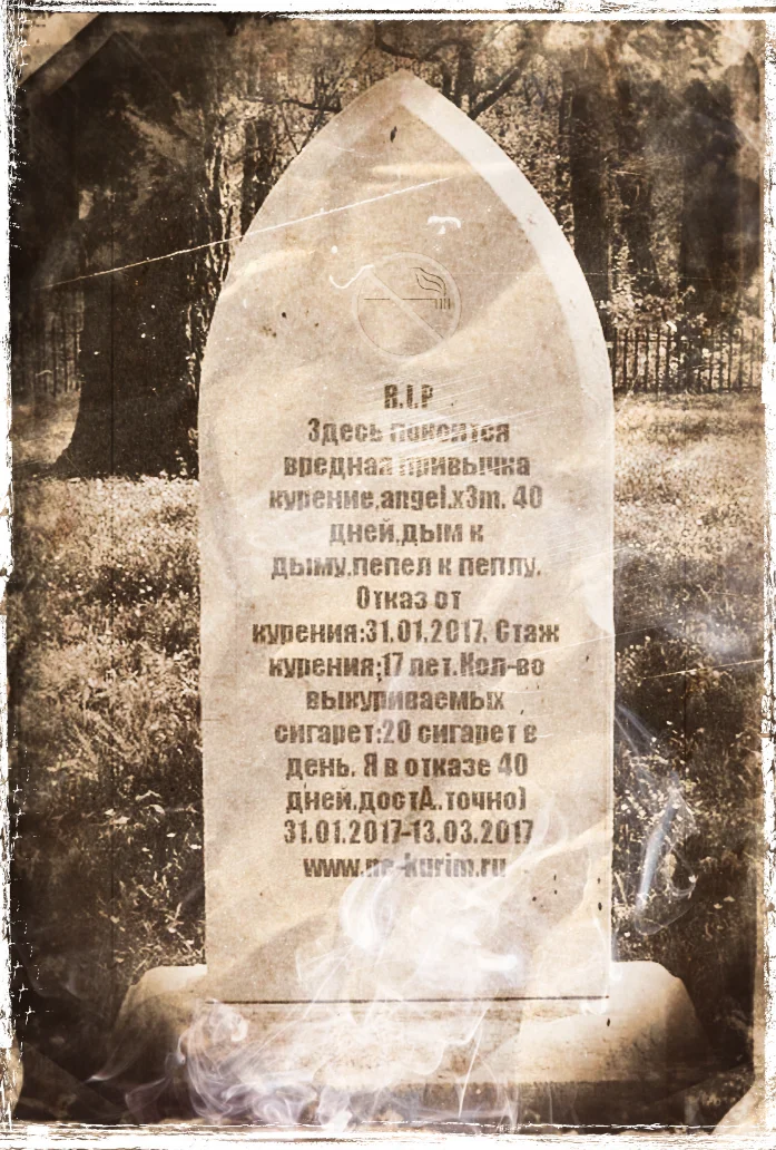 risovach.ru (2).webp