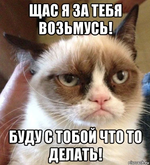 risovach.ru (20).webp