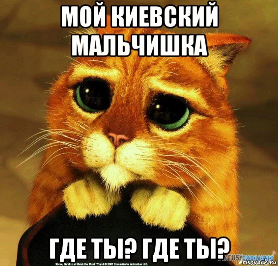 risovach.ru (22).webp