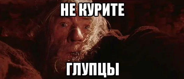 risovach.ru.webp