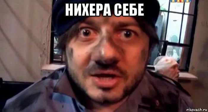 risovach.ru.webp