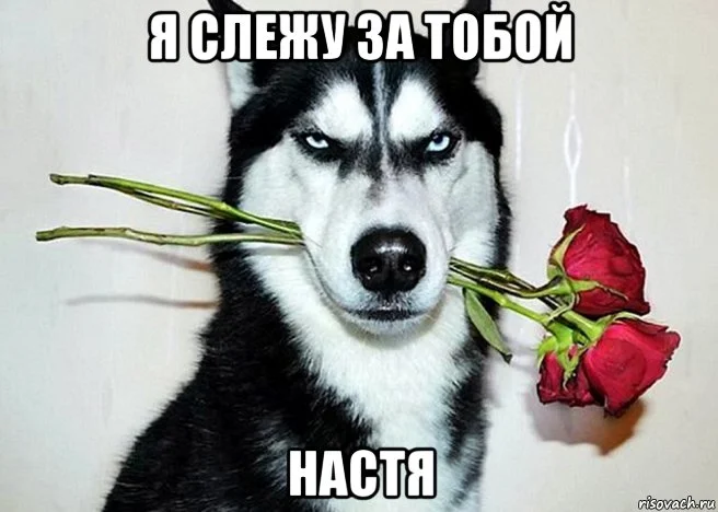 risovach.ru.webp