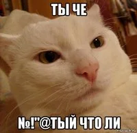 risovach.ru.webp