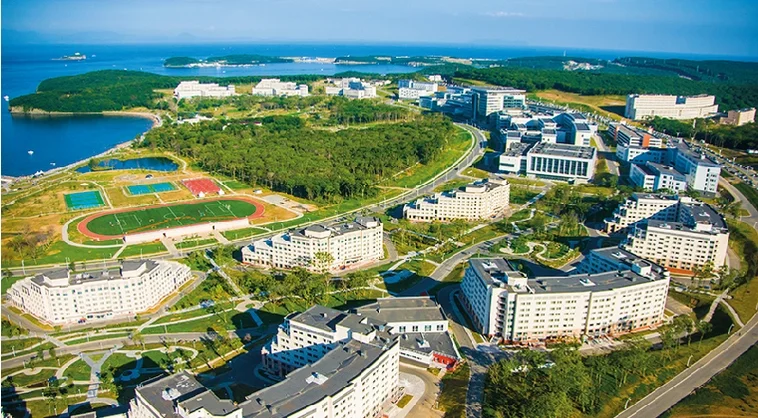 РО вид сверху.webp