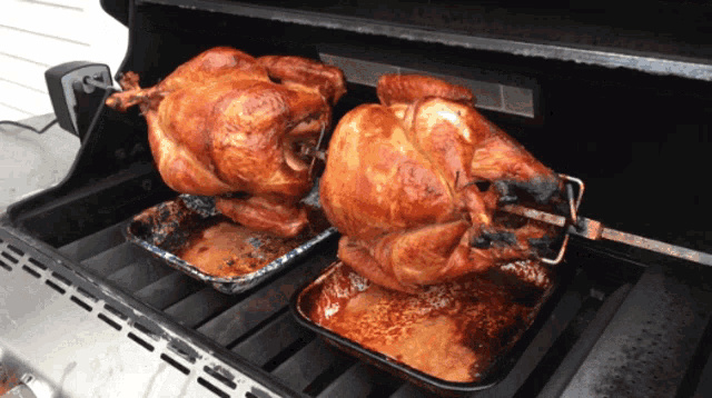 roast-turkey-turkey.gif