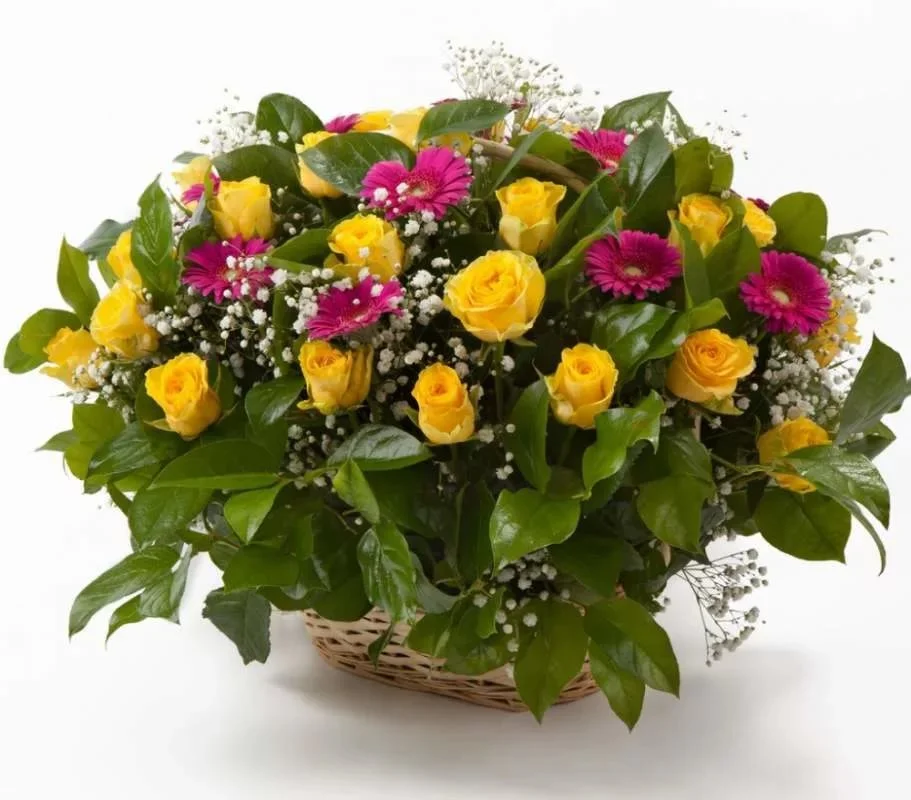 ром.webp
