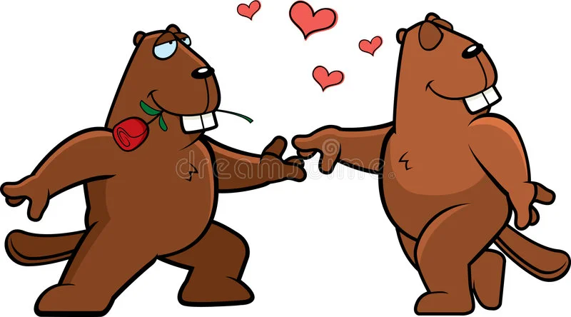 романс-бобра-7494679.webp