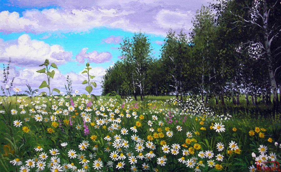 Ромашки (3).webp