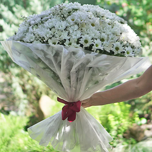 romashki-bouquet3-500x500.jpg