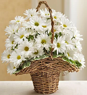 romashki.webp