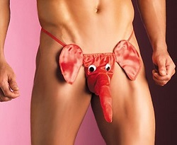 Ronaldo-bought-a-red-thong-that-had-an-elephant-s-head-in-front-told-Nereida-cri.jpg