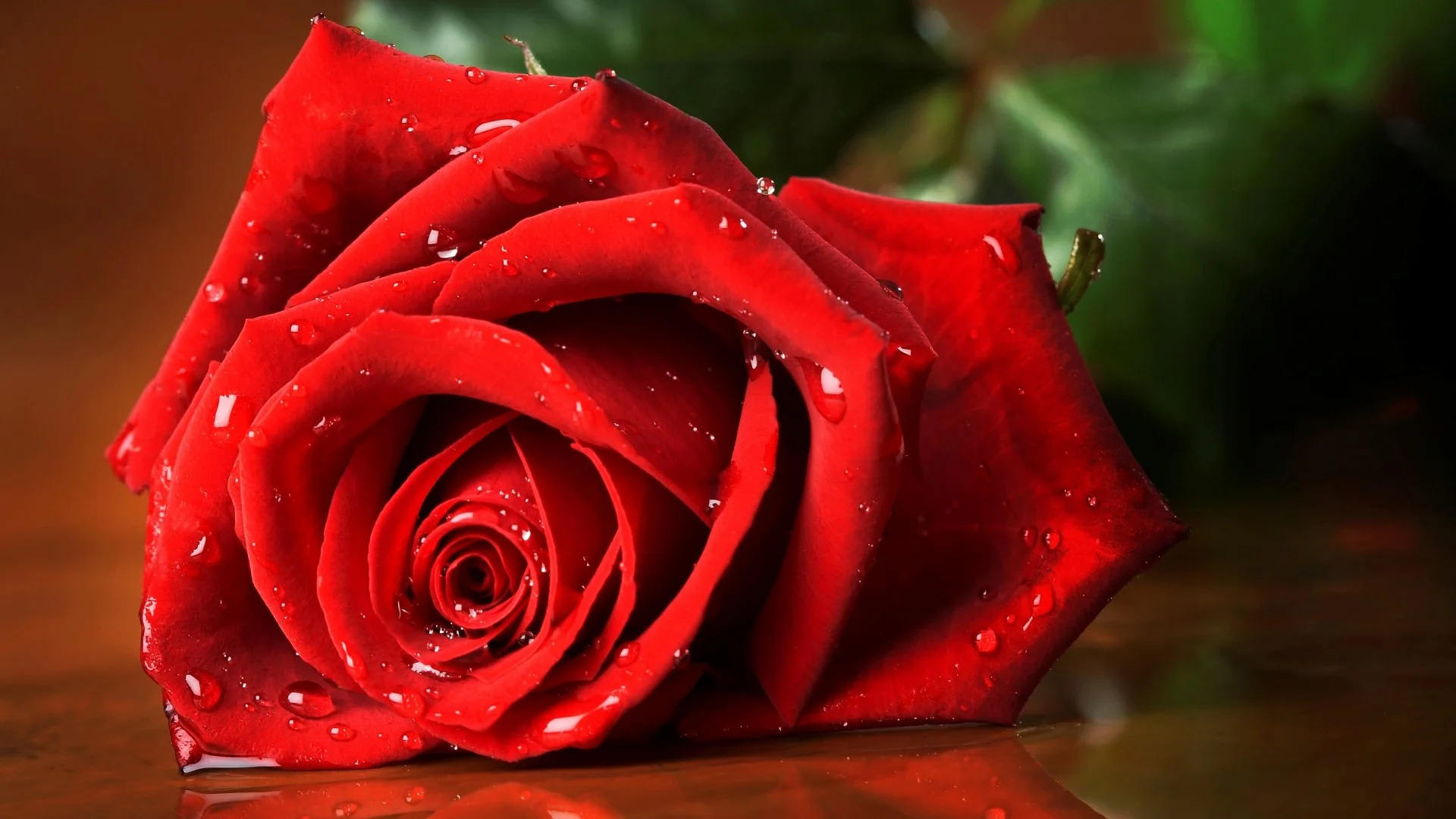 rose.webp