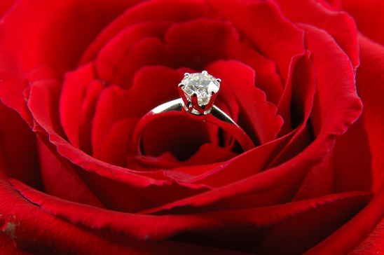 rose-with-ring-inside-best-of-the-red-chair-matrimonial-services-of-rose-with-ring-inside-1.jpg