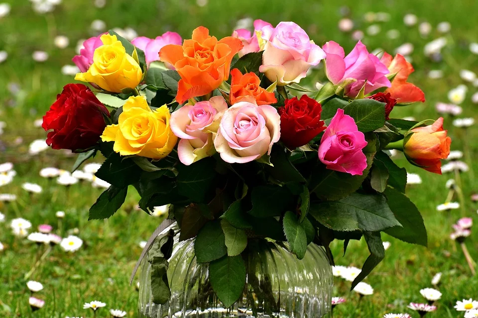 roses-2230459_960_720.webp