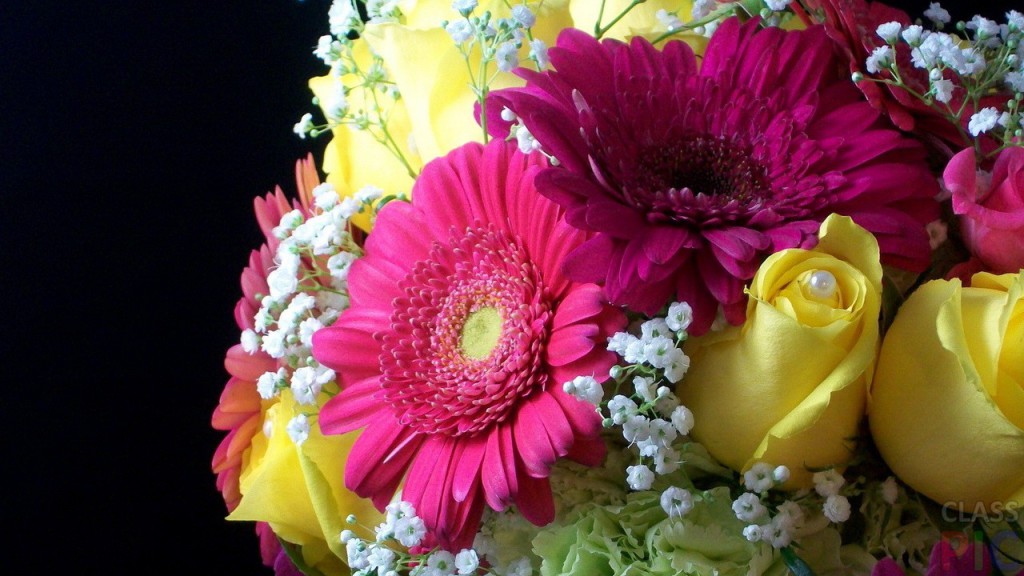 roses-and-gerberas-1024x576.jpg