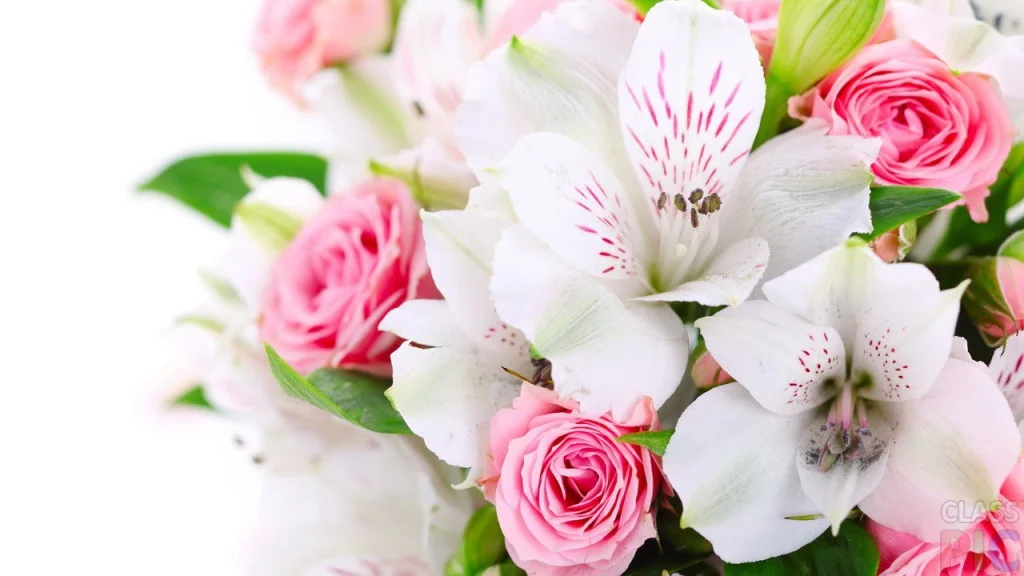 roses-and-orchid-1024x576.webp