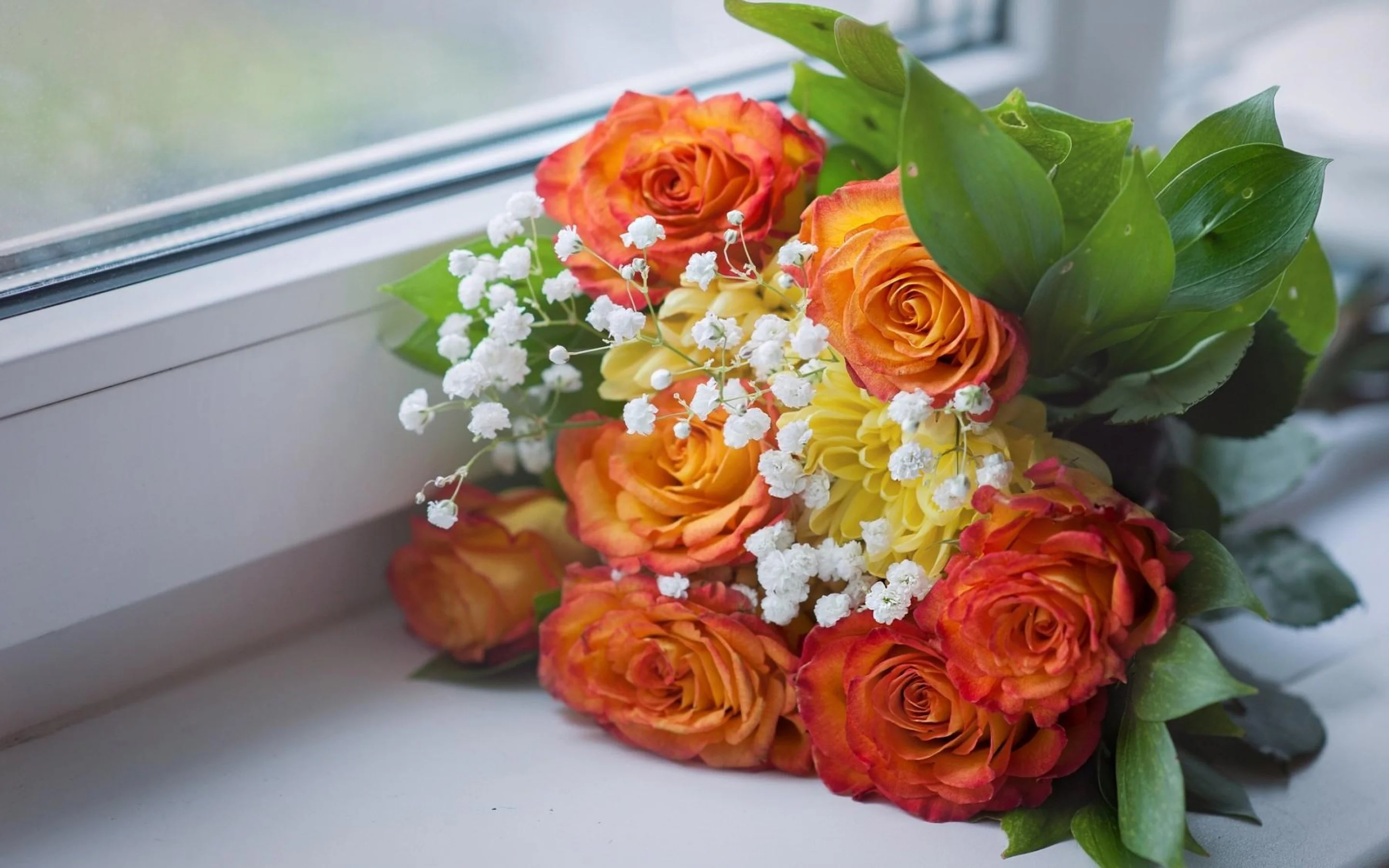roses-babys-breath-bouquet-windowsill-window-2880x1800.webp