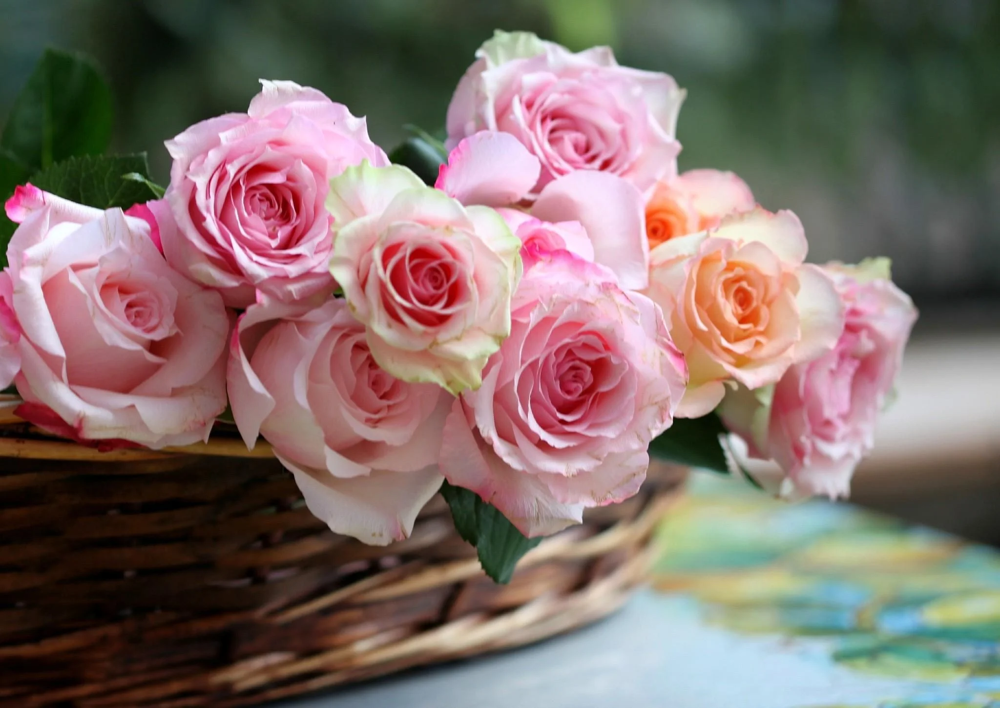 roses-basket-flowers-buds-648356.webp