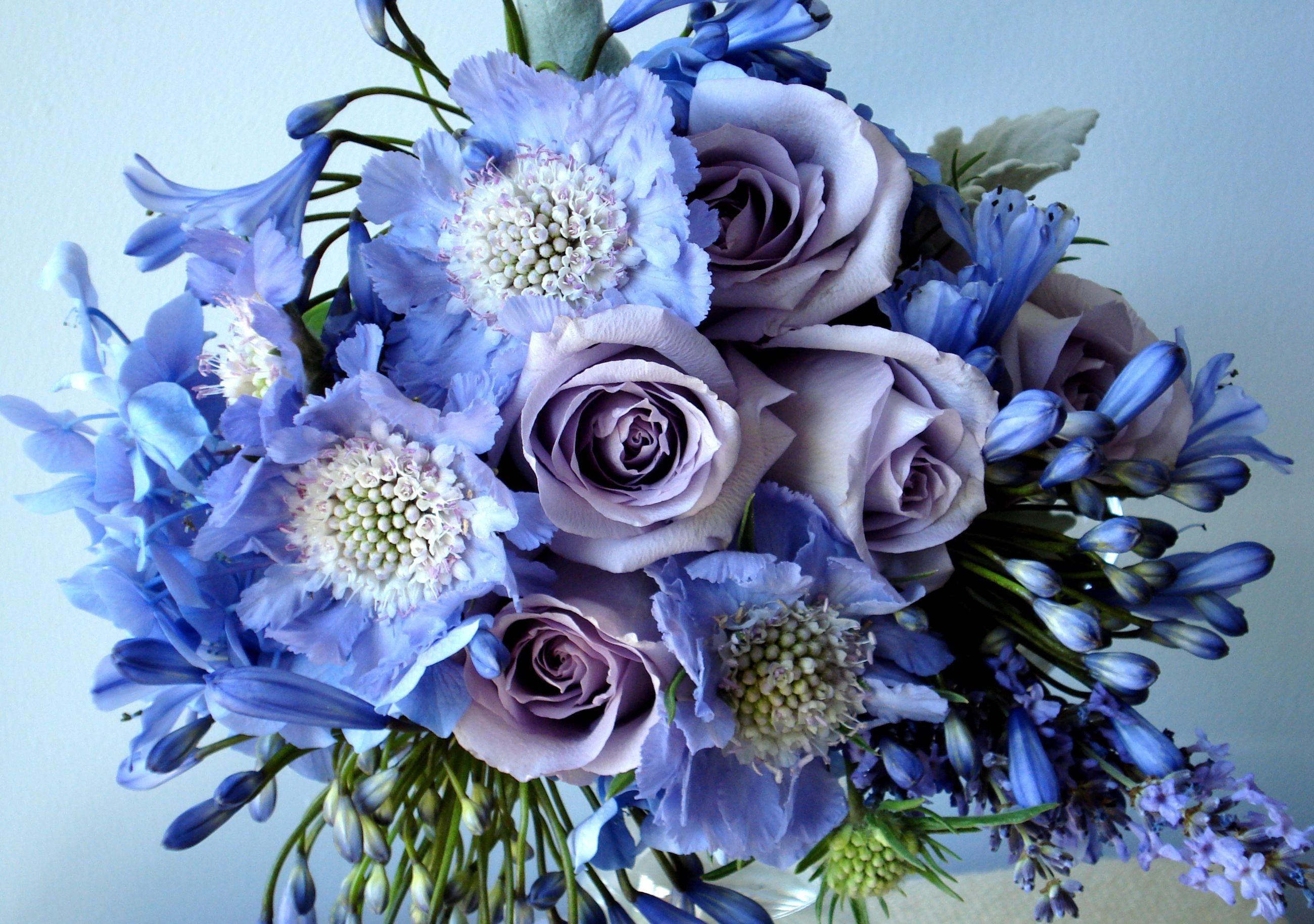 roses-flowers-agapanthus-bouquet-decoration-1078890.jpg