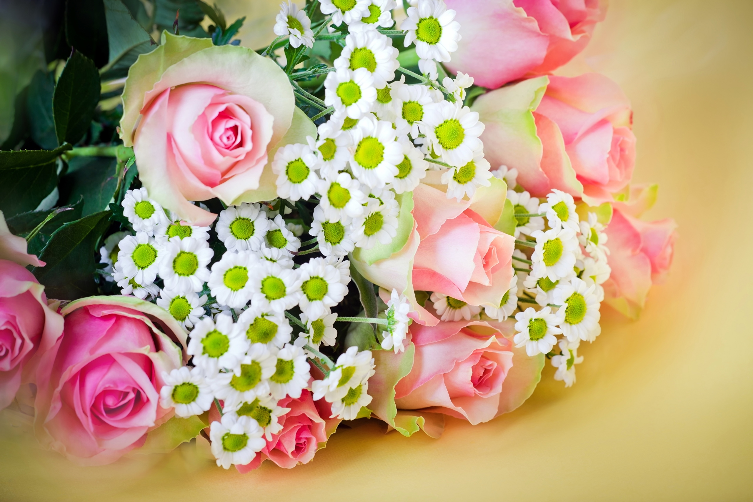 Roses_Bouquets_373636.jpg