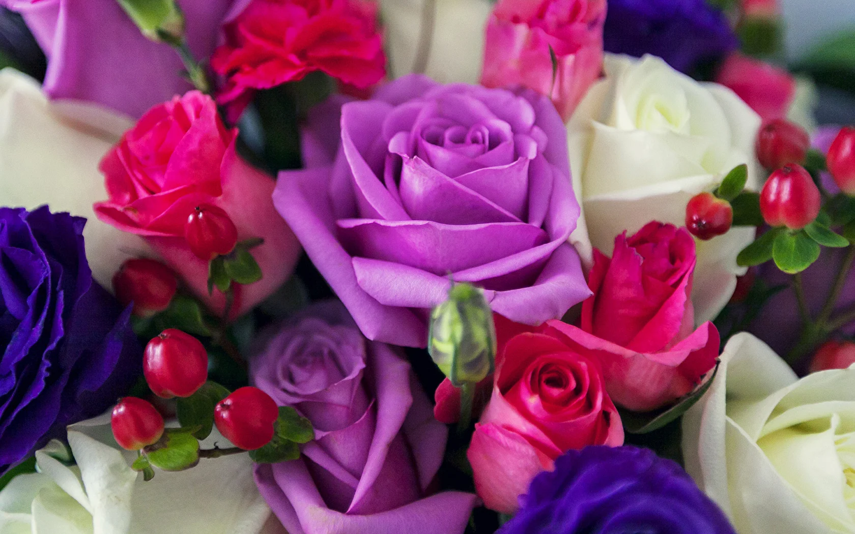 Roses_Bouquets_483554_1680x1050.webp