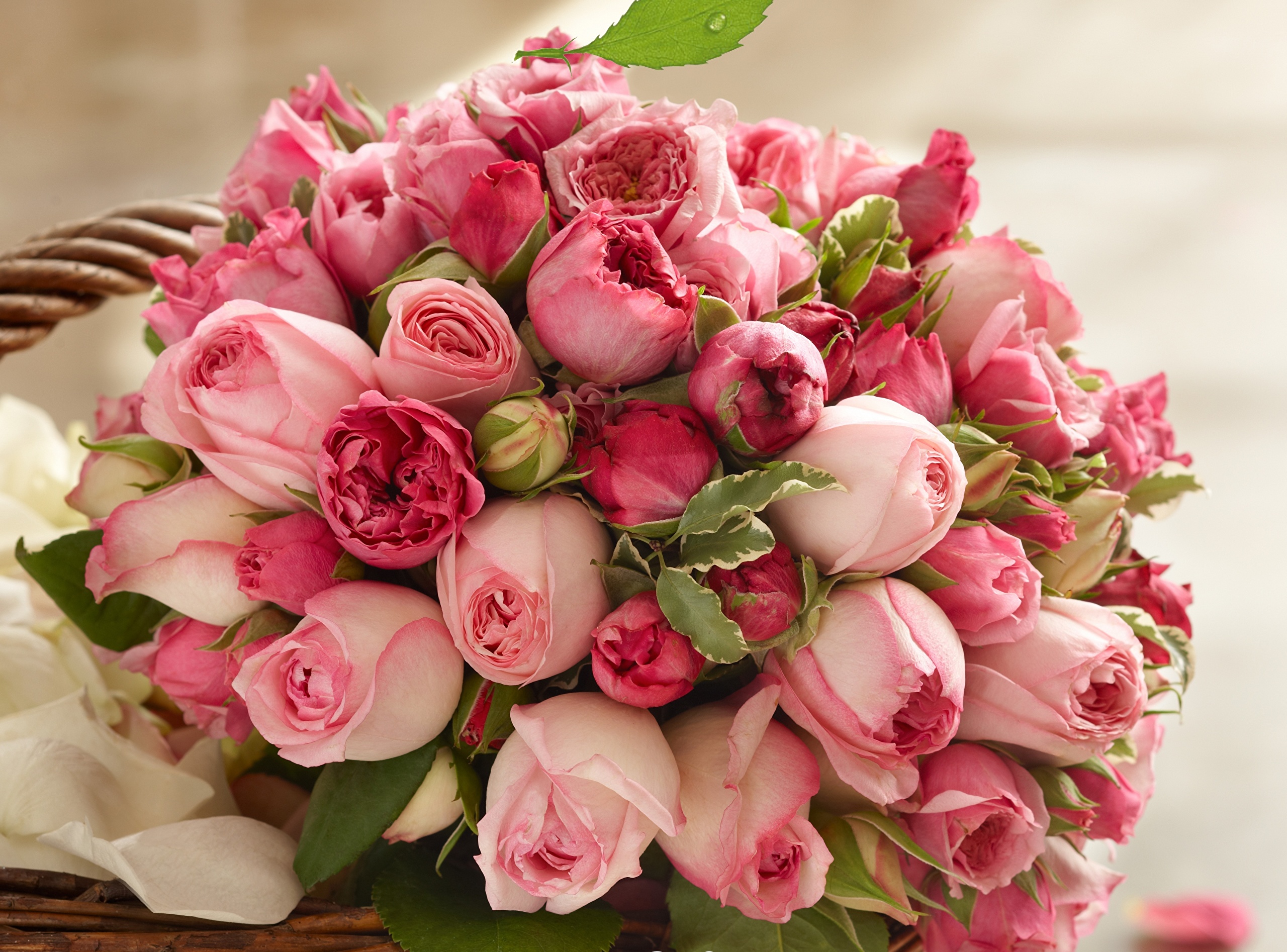 Roses_Bouquets_Pink_341335.jpg