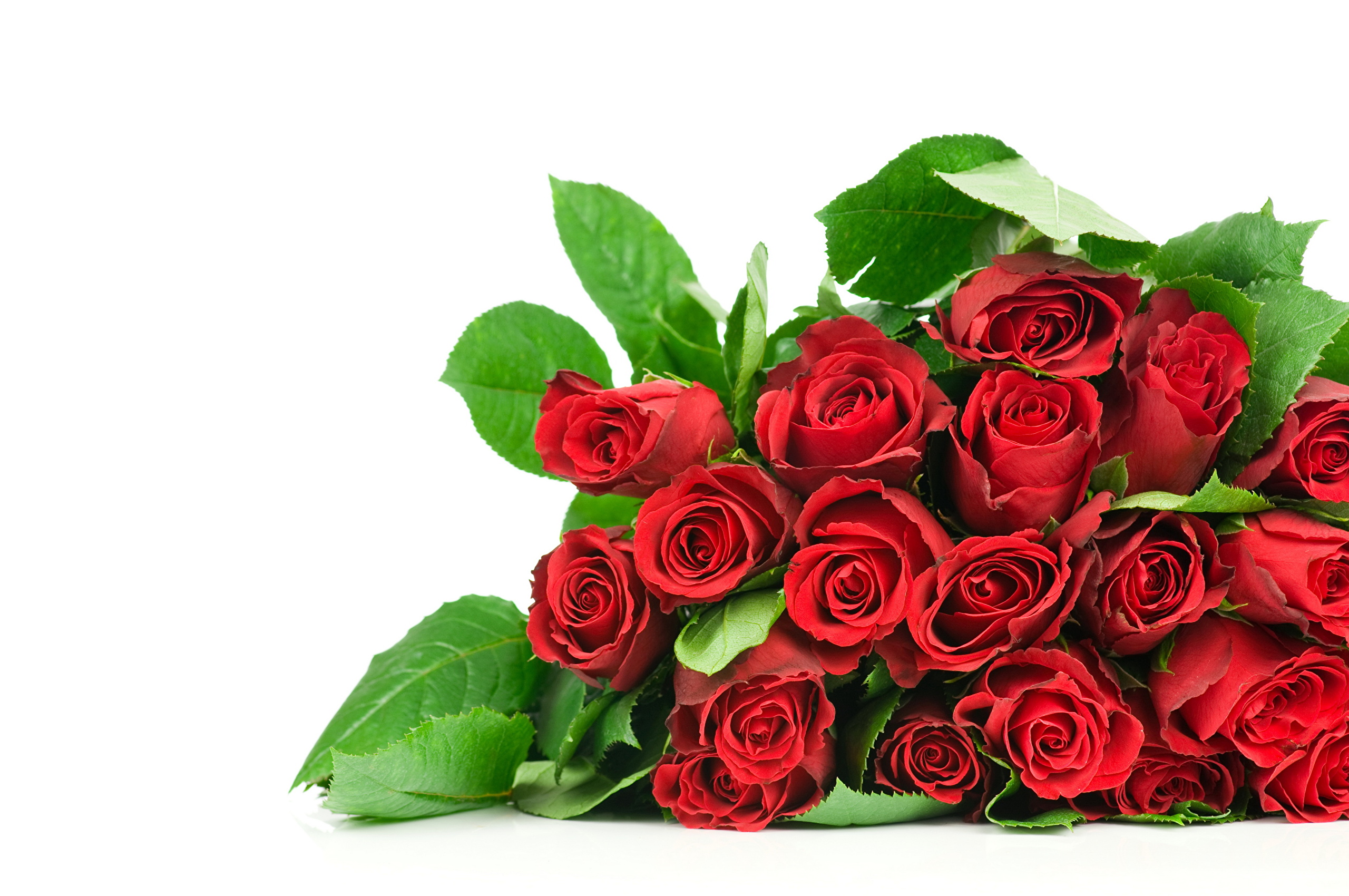 Roses_Bouquets_Red_335245.jpg