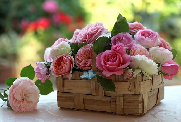 roses_buds_flowers_basket_beauty_35297_1152x864.jpg