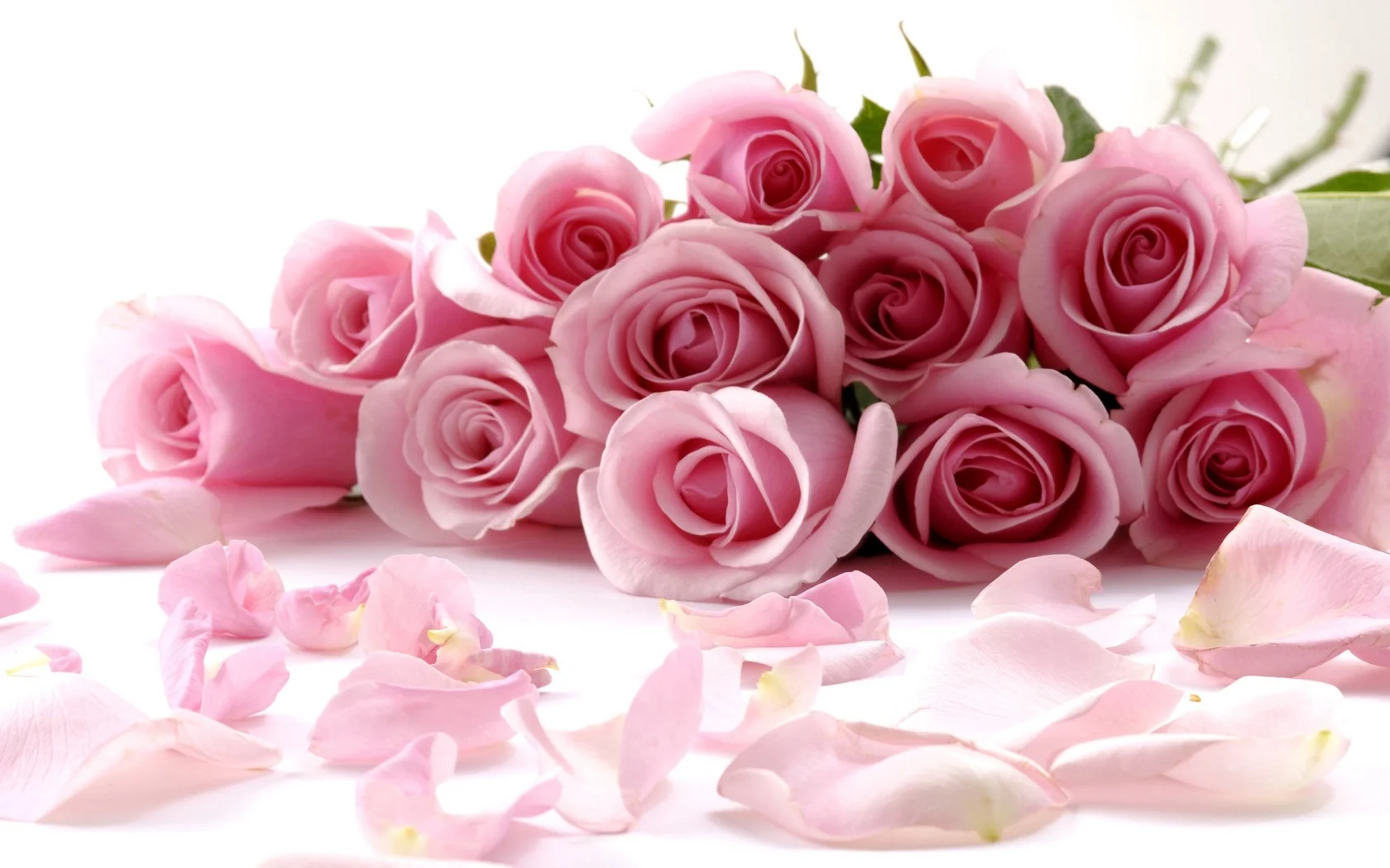 roses_flower_petals_83776_1680x1050.webp