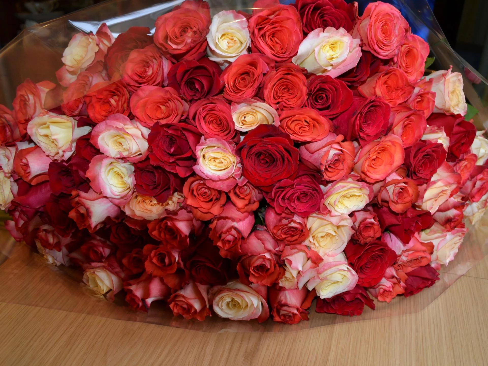 Roses_Many_414936.webp