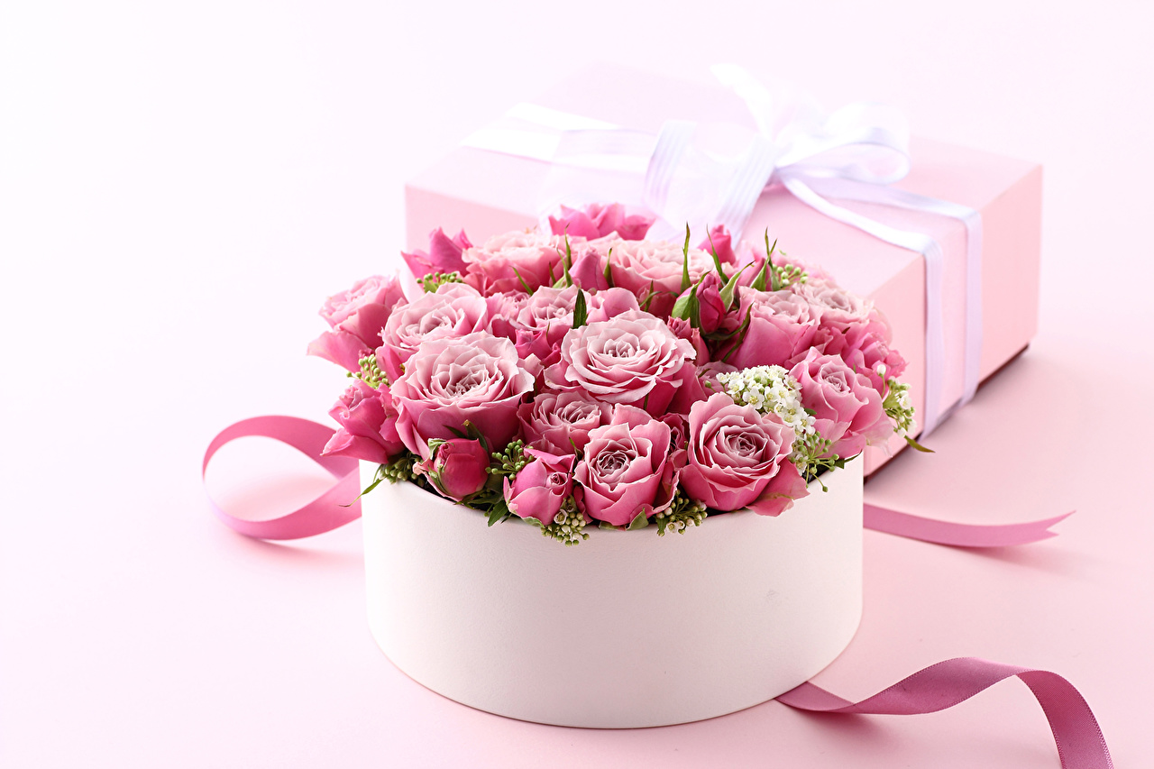 Roses_Pink_color_Box_494942.jpg