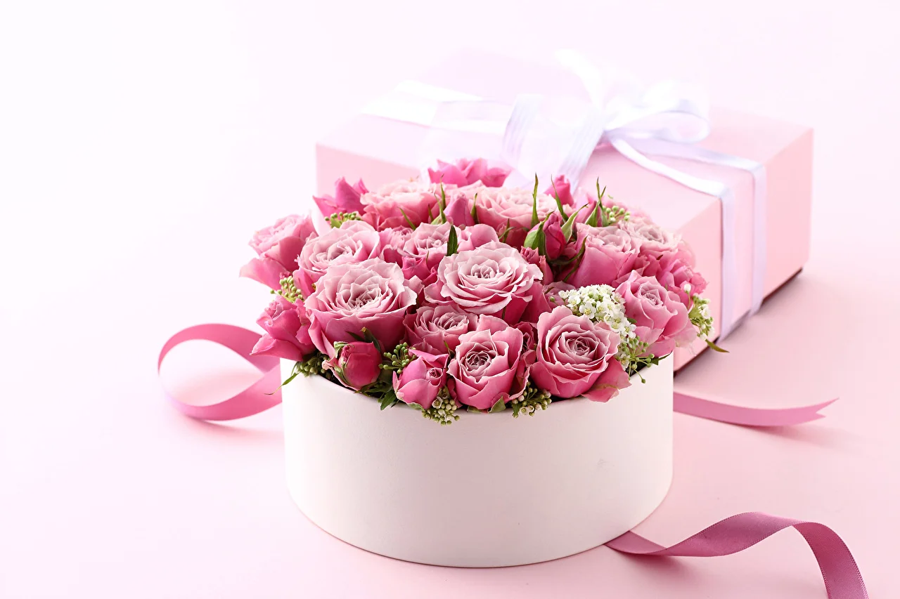 Roses_Pink_color_Box_494942.webp
