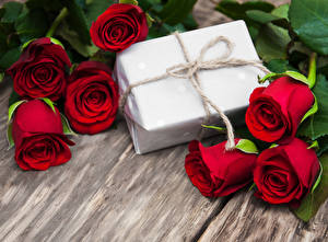 Roses_Wood_planks_Red_Gifts_526079_300x221.jpg