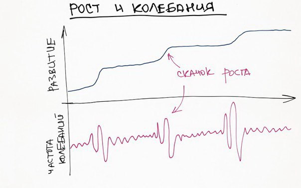 Рост и колебания.jpg