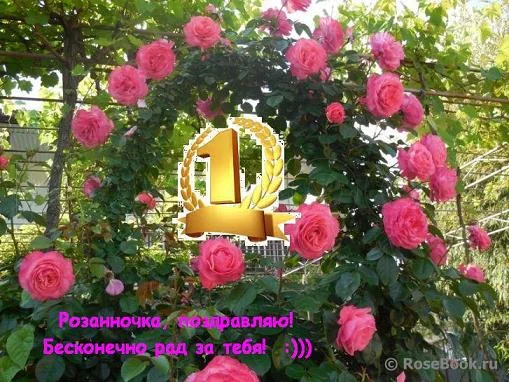 Роз3.webp