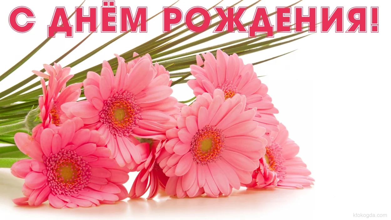 rozgerbery.webp