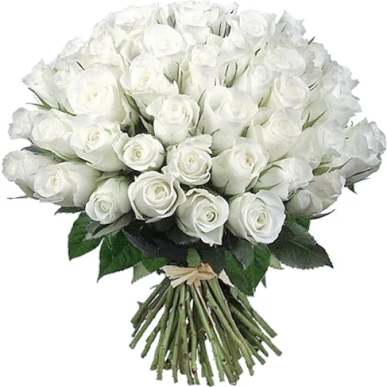 розы бел.webp