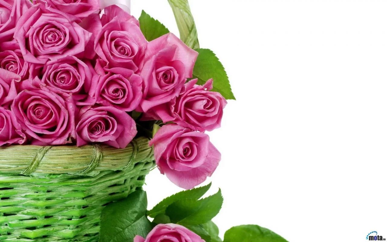 Розы открытка.webp